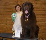 Превью фото № 67654