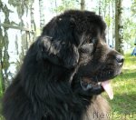 Превью фото № 67677