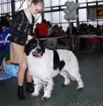 Превью фото № 6770