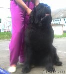 Превью фото № 67827