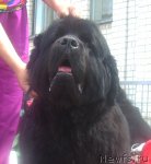 Превью фото № 67830