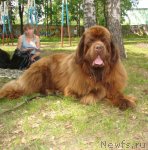 Превью фото № 67893