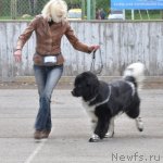 Превью фото № 68020