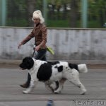 Превью фото № 68044