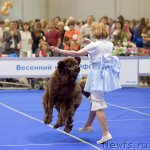 Превью фото № 68054