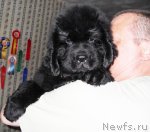 Превью фото № 68267