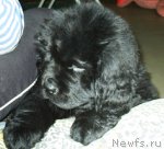 Превью фото № 68272