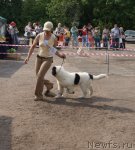 Превью фото № 68329