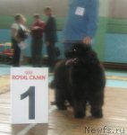 Превью фото № 68334