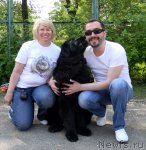 Превью фото № 68411