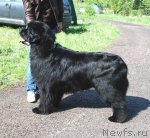 Превью фото № 68415