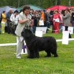 Превью фото № 68420