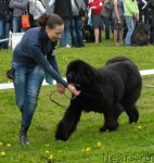 Превью фото № 68423