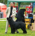 Превью фото № 68427