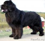 Превью фото № 6856