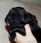 Превью фото № 6861