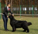 Превью фото № 68639