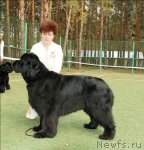 Превью фото № 68711