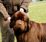 Превью фото № 68737