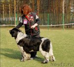 Превью фото № 68807