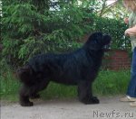 Превью фото № 68911