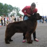 Превью фото № 69041