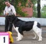 Превью фото № 69044