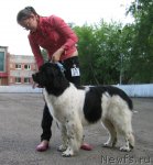 Превью фото № 69050