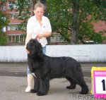 Превью фото № 69054