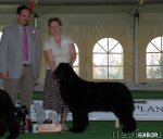 Превью фото № 69112