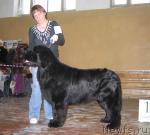 Превью фото № 6932