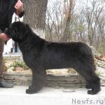 Превью фото № 6964