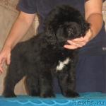 Превью фото № 6966