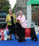 Превью фото № 69664