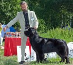 Превью фото № 69738