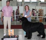 Превью фото № 69742