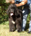 Превью фото № 69801