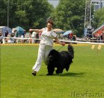 Превью фото № 70101