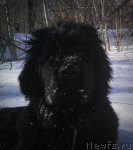 Превью фото № 70110