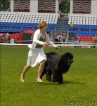 Превью фото № 70115