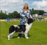 Превью фото № 70129