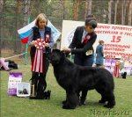 Превью фото № 70150