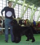 Превью фото № 7027