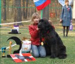 Превью фото № 70281