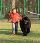 Превью фото № 70285