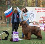 Превью фото № 70299