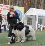 Превью фото № 70316