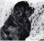 Превью фото № 70550