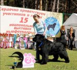 Превью фото № 70603