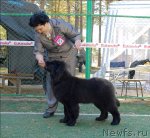 Превью фото № 70605